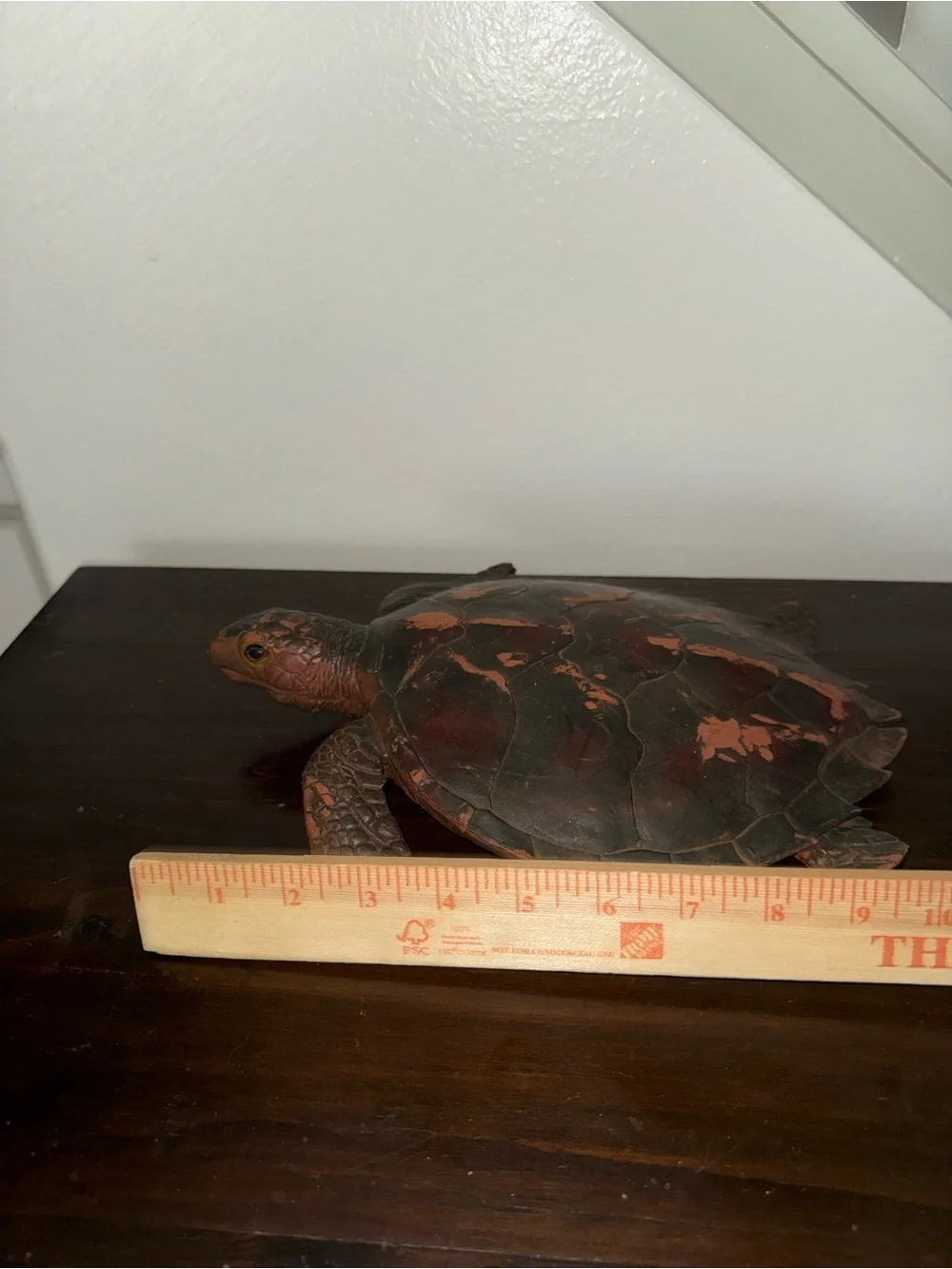 N/A decorative reptile
